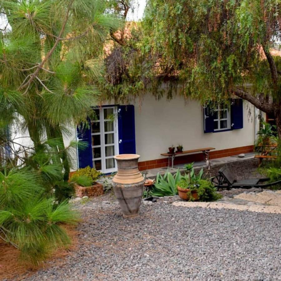 Appartement Stilvolle In Teneriffa Sued *