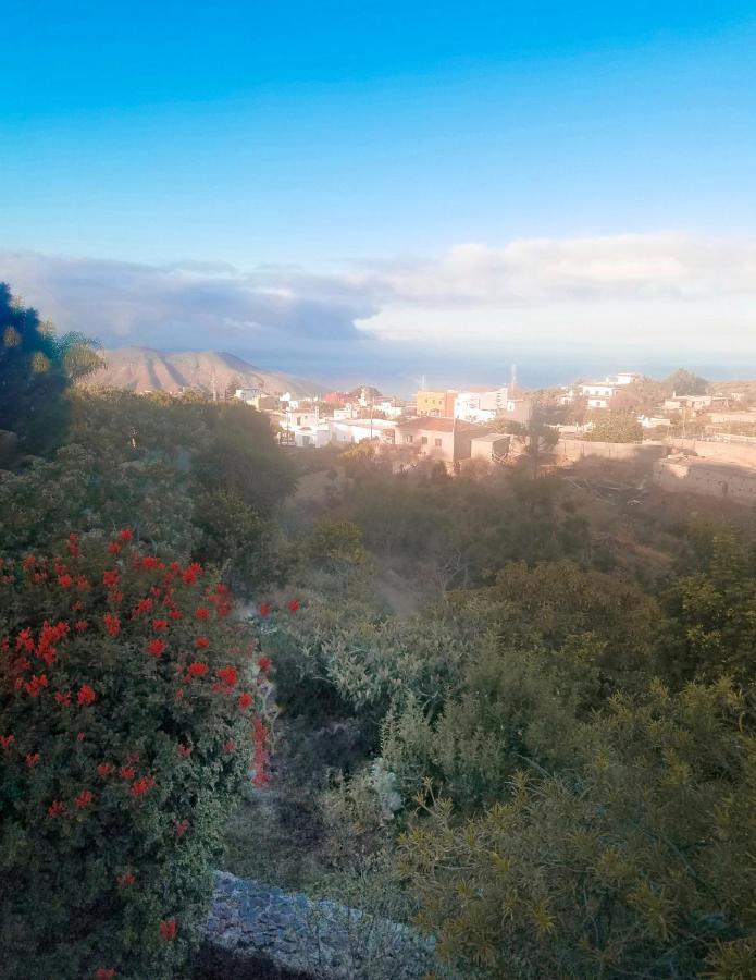 Stilvolle In Teneriffa Sued Appartement Arona (Tenerife)
