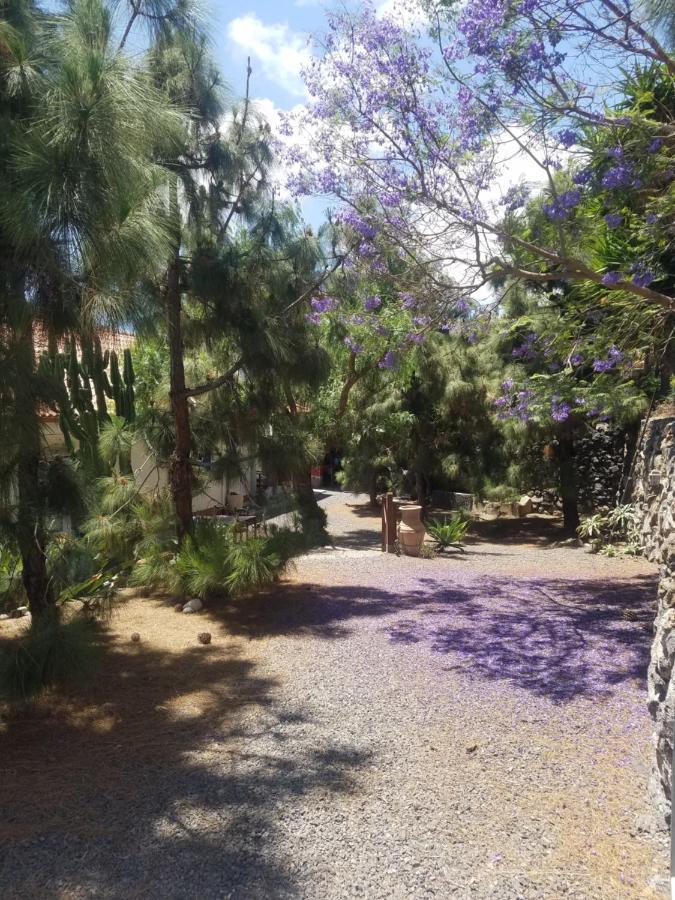 Stilvolle In Teneriffa Sued Appartement *