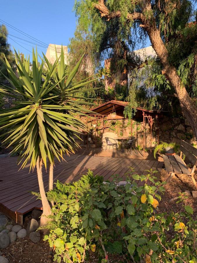 Stilvolle In Teneriffa Sued * Arona (Tenerife)