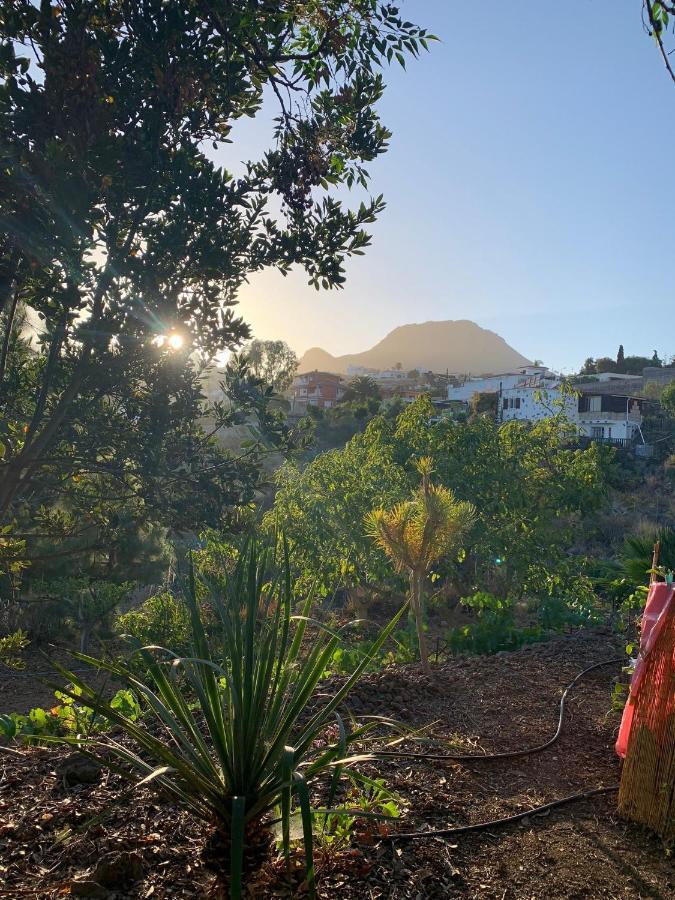 Stilvolle In Teneriffa Sued *